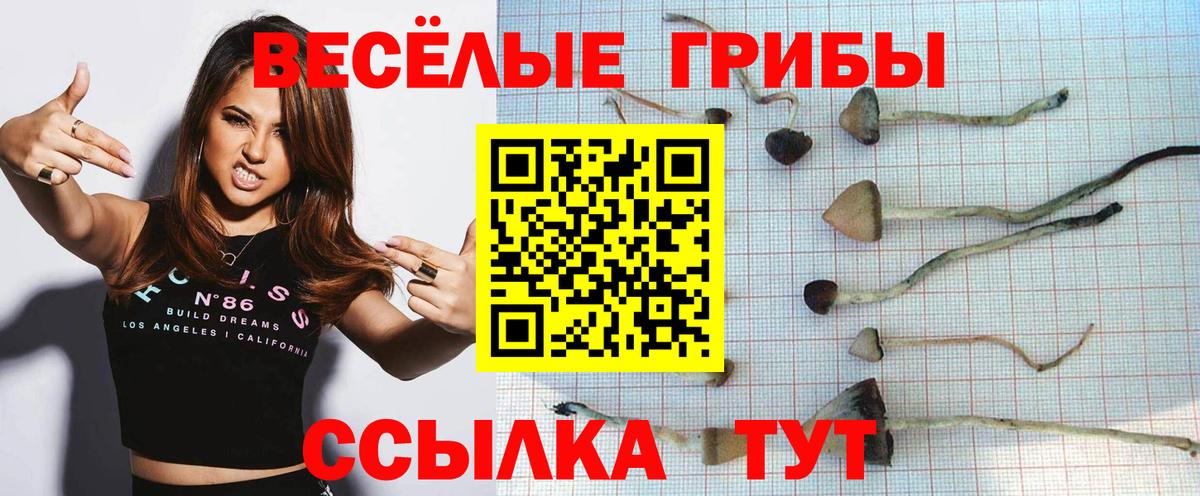 Псилоцибиновые грибы прущие грибы  закладки  Галлюциногенные грибы мухоморы  Гудермес  Вход с VPN 